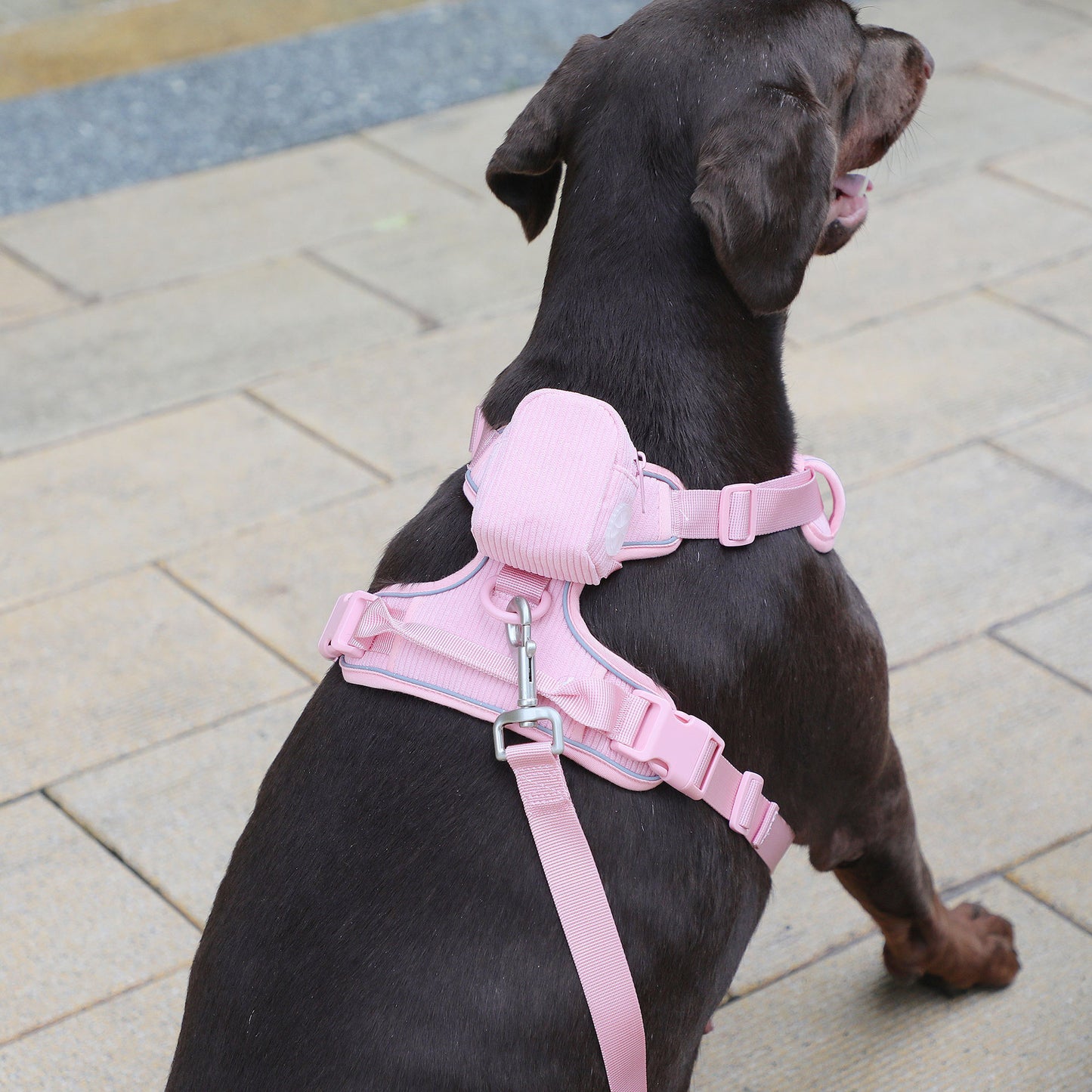 Diseño de pana rosa para el pecho de la mascota, puede tallar el bolso para pasear al perro con cuerda y Collar para escribir