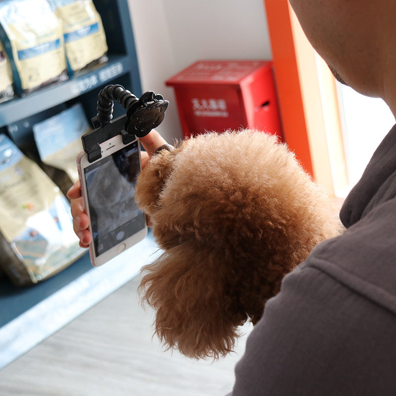 Palo de selfie para mascotas Suministros para mascotas Juguetes Artefacto de selfie para mascotas