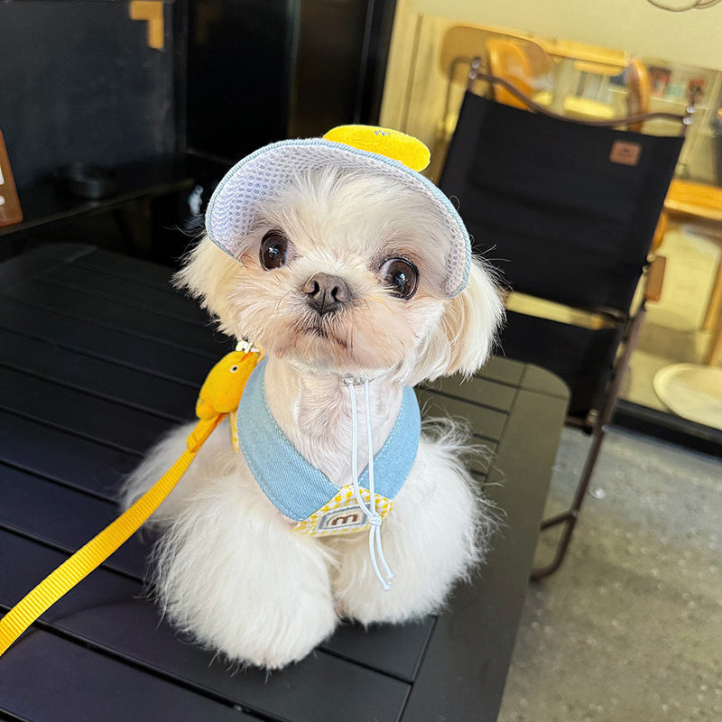 Spring Summer Pet Wire Rope Pulling Rope Cute Hat Three Piece Cat Clothes Outgoing Pulling Set Dog Harness And Leash Set