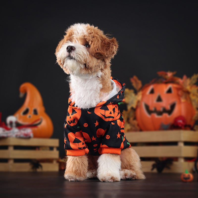 Ropa para mascotas Wansheng Suéter con calabaza para perros y gatos