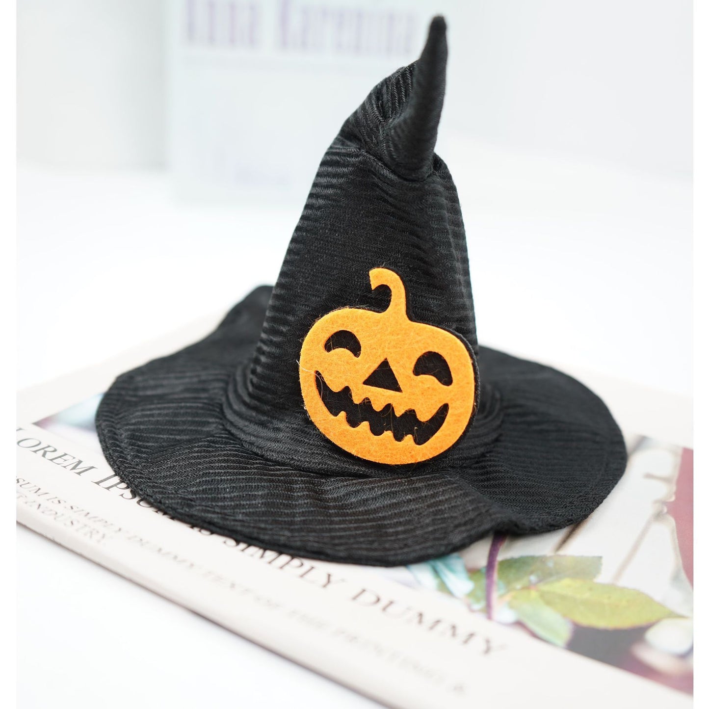 Transfórmate en un sombrero de Halloween creativo y mágico para mascotas