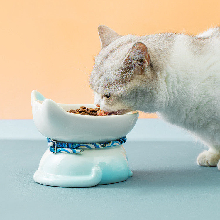 Bol de nourriture pour chat de vertèbre cervicale de protection en céramique