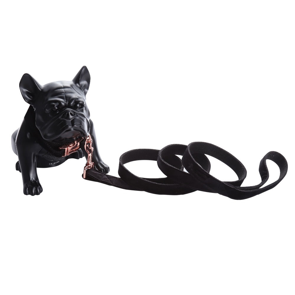 Collier et laisse souples noirs de noël, pattes de Style Unique, cadeaux pour chiens et chats