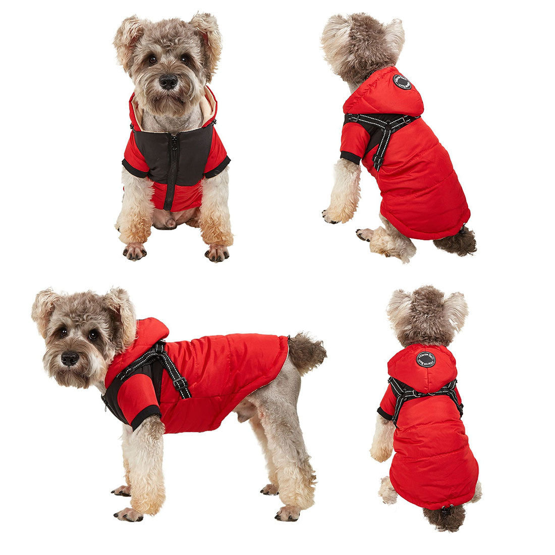 Abrigo para mascotas, impermeable, cálido, ropa para perros, chaqueta de concha para mascotas