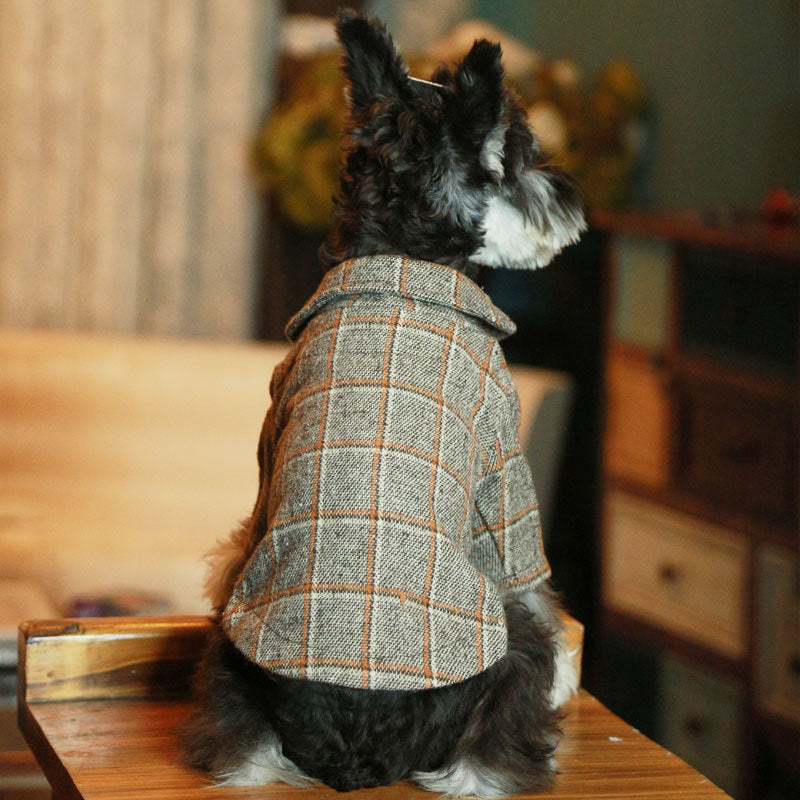 Vêtements pour animaux de compagnie photo de mariage