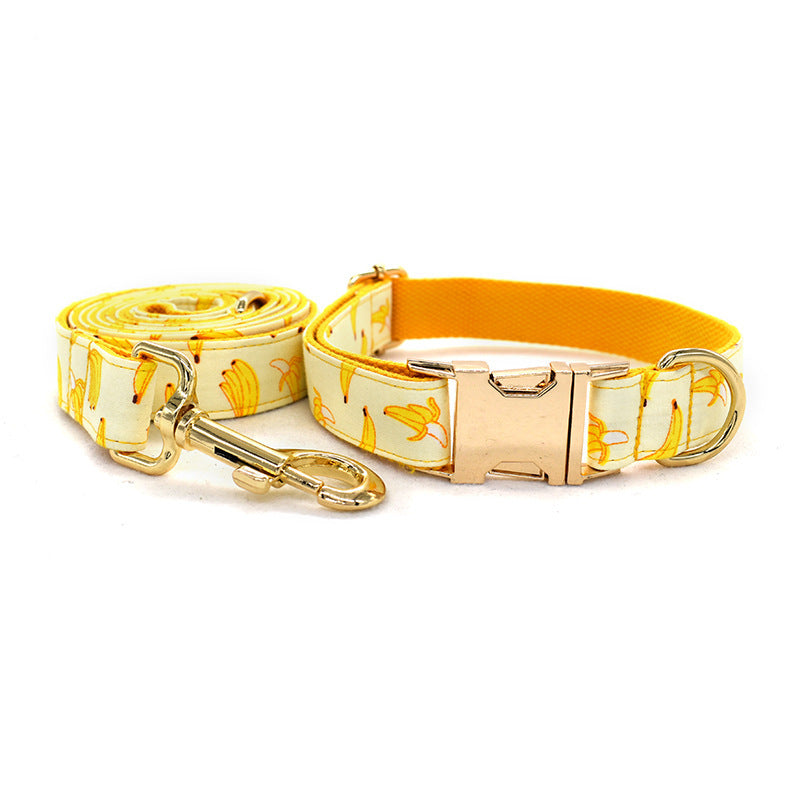 Tow Rope Collar Pet Supplies Gold Metal Buckle