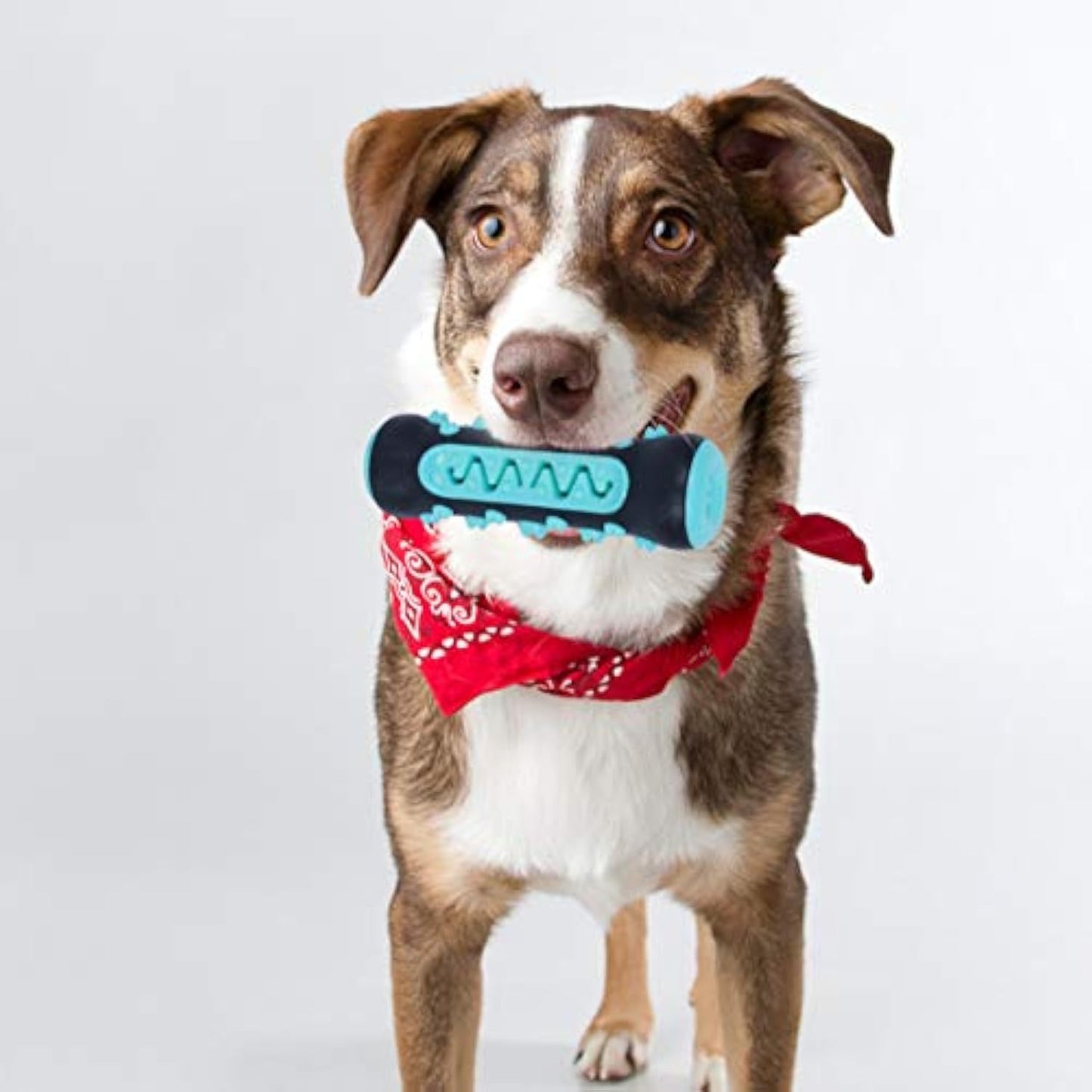 Cepillo de dientes para perros, juguete para masticar, palo para limpiar los dientes de los cachorros, mordedor dental de caucho natural, juguetes molares para perros y mascotas