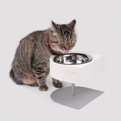 Gamelle de camping pour chat et chien