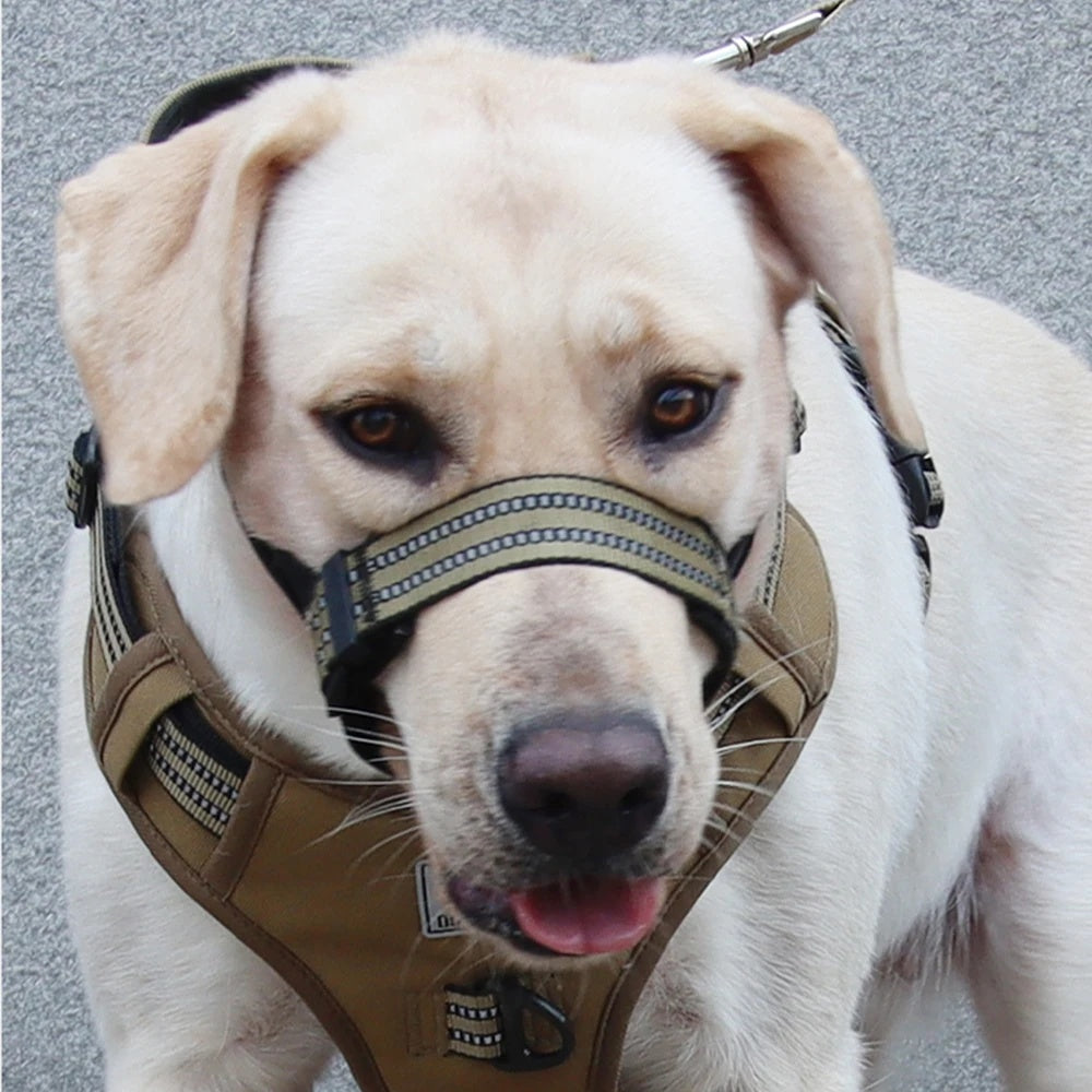 Muselière réfléchissante anti-morsure pour chiens de taille moyenne et grande, husky de Sibérie, golden retriever, couvre-bouche réglable pour animaux de compagnie 