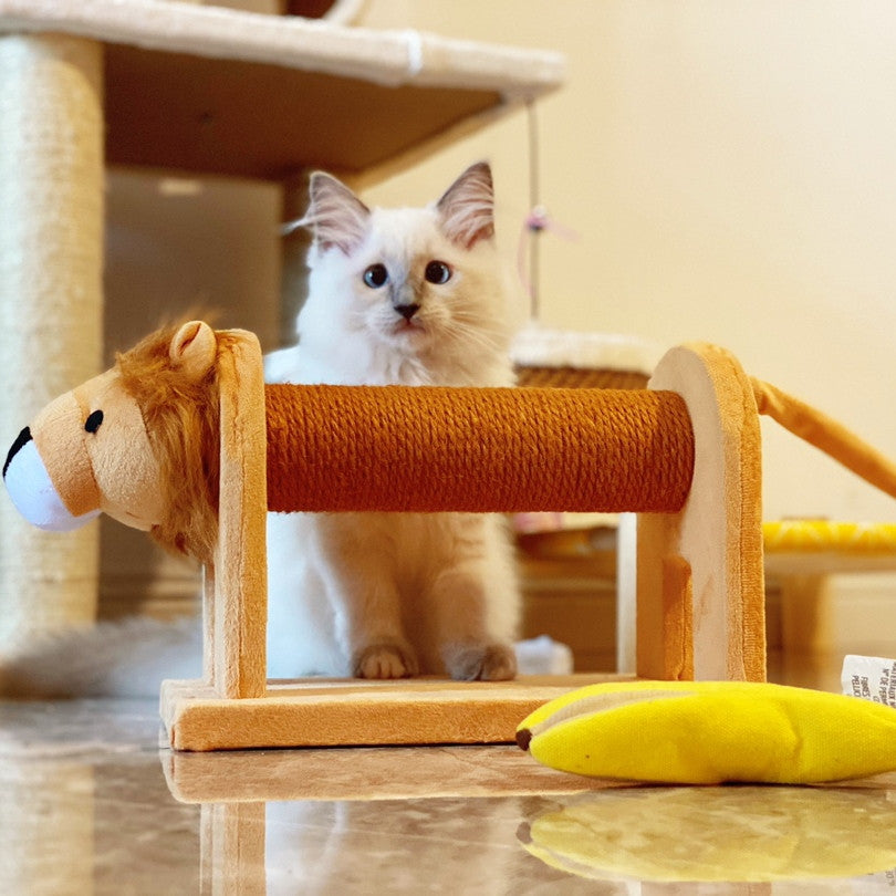 Support pour chat, nid de chat, plate-forme intégrée, arbre à chat, poteau de saisie en Sisal, arbre d'escalade, planche à saisir, fournitures de jouets, support d'escalade pour chat, petit