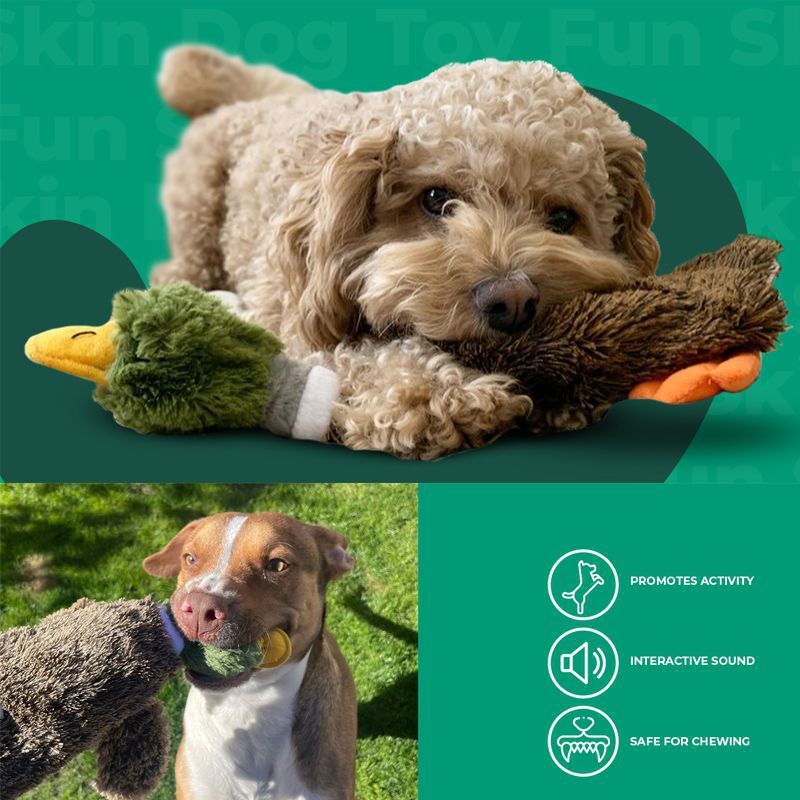 Los mejores juguetes para perros chirriantes 2 en 1 sin relleno de Best Pet Supplies con tela suave y duradera para mascotas pequeñas, medianas y grandes, sin relleno para jugar en interiores, favorecen la mordida activa y el juego - 1 Wild Duck