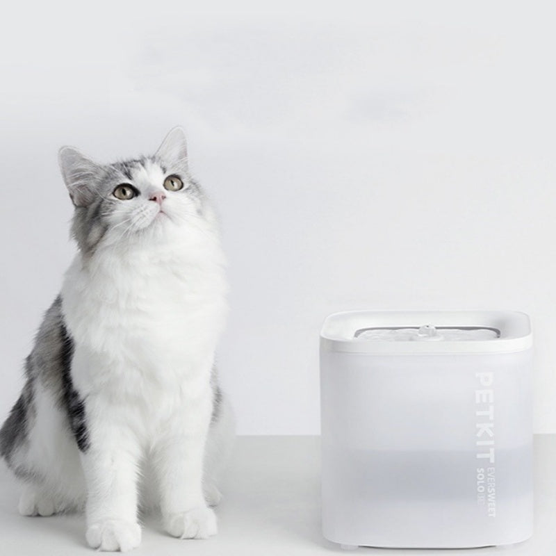 Distributeur d'eau intelligent pour animaux de compagnie avec filtre en boucle sans fil pour bol d'eau pour animaux de compagnie