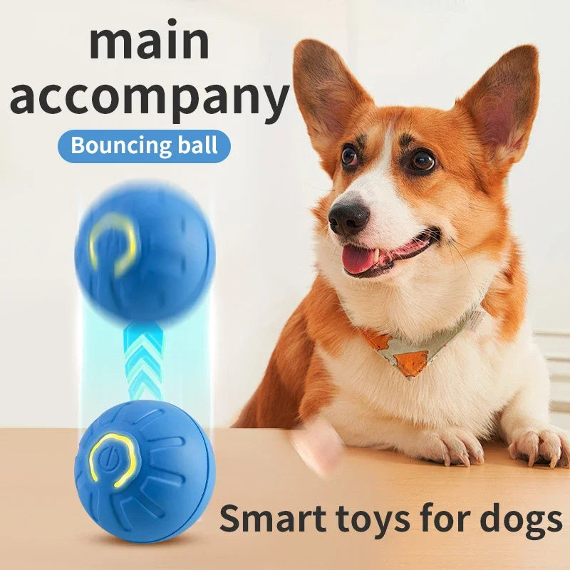 Pelota de juguete para Perro inteligente, juguete interactivo electrónico para mascotas, bola móvil, USB, rebote móvil automático para cachorros, regalo de cumpleaños, producto para gatos