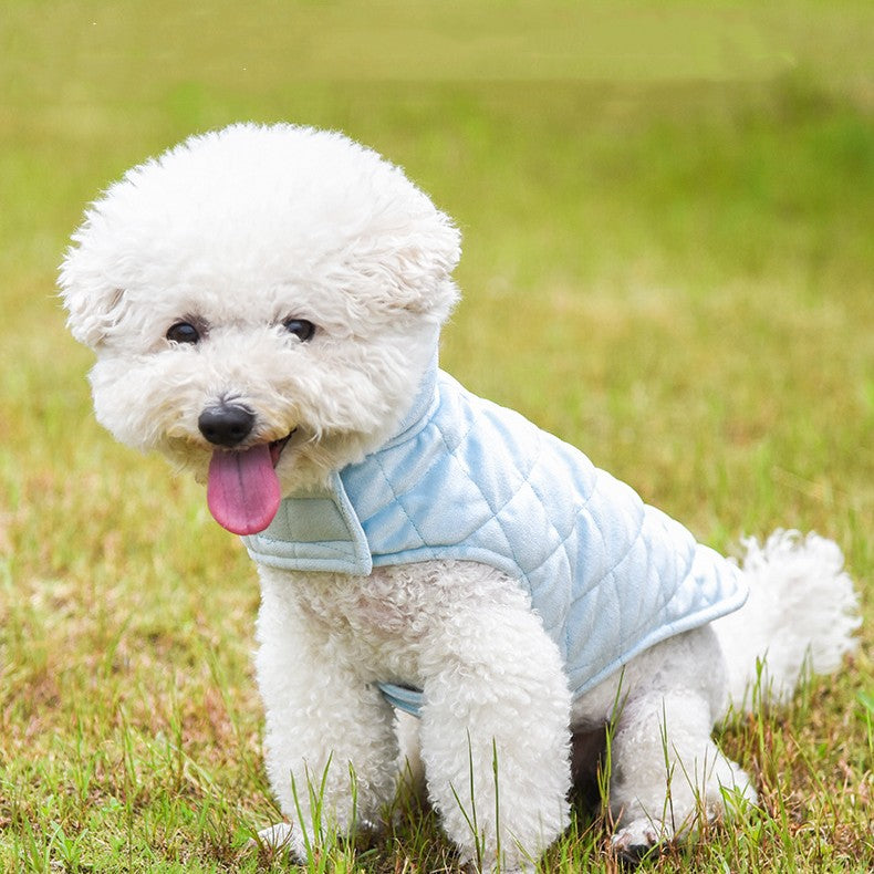 Ropa de terciopelo para mascotas Otoño e invierno cálido