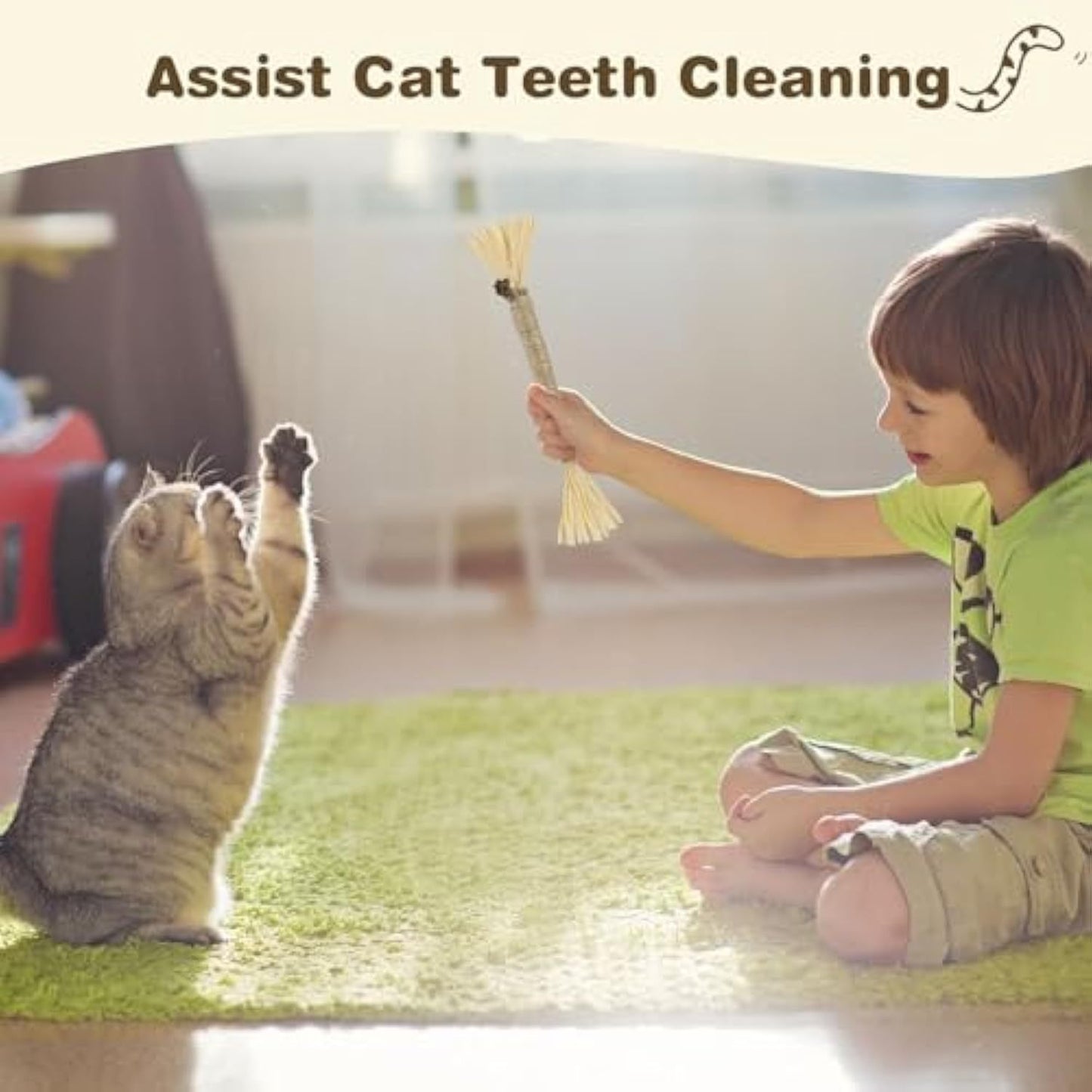 Lot de 3 bâtonnets Silvervine pour chats, jouet à mâcher pour les soins dentaires, bâtonnets à mâcher comestibles pour le nettoyage des dents, jouets pour chats d'intérieur