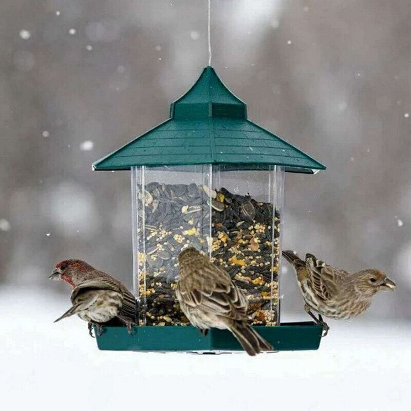 Boîte de nourriture pour oiseaux suspendue et étanche