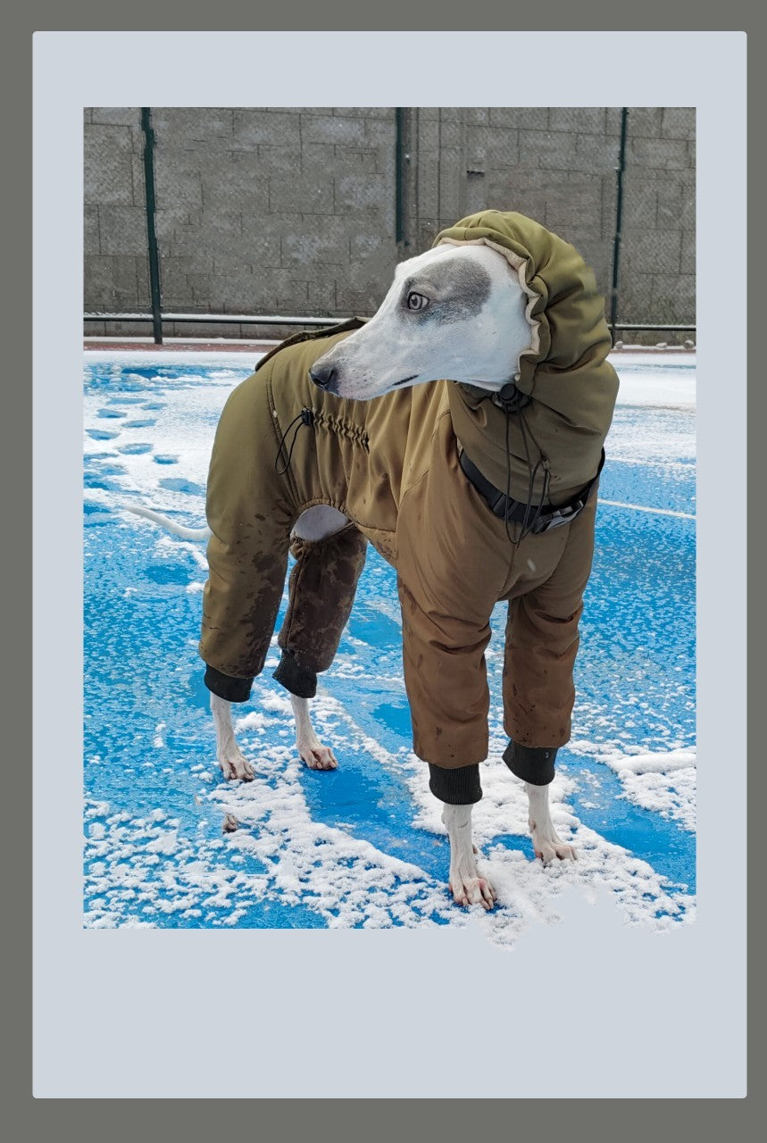 Vêtements rembourrés de coton à quatre pattes super épais d'hiver