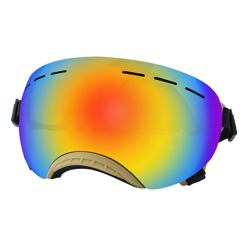 Lunettes coupe-vent pour animaux de compagnie avec protection UV