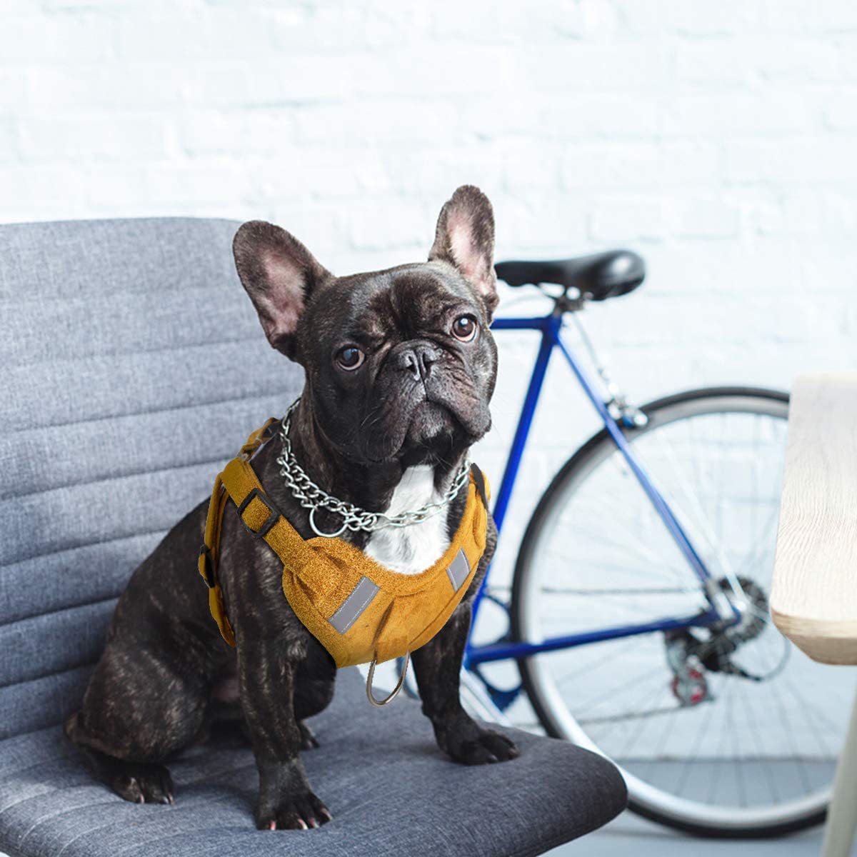 Sangle pour chien en velours, corde réfléchissante et respirante pour chien, animal de compagnie