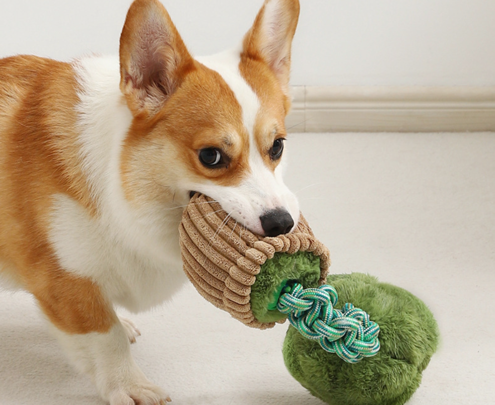 Juguete con nudo mordedor con cordón resistente a mordeduras para perros