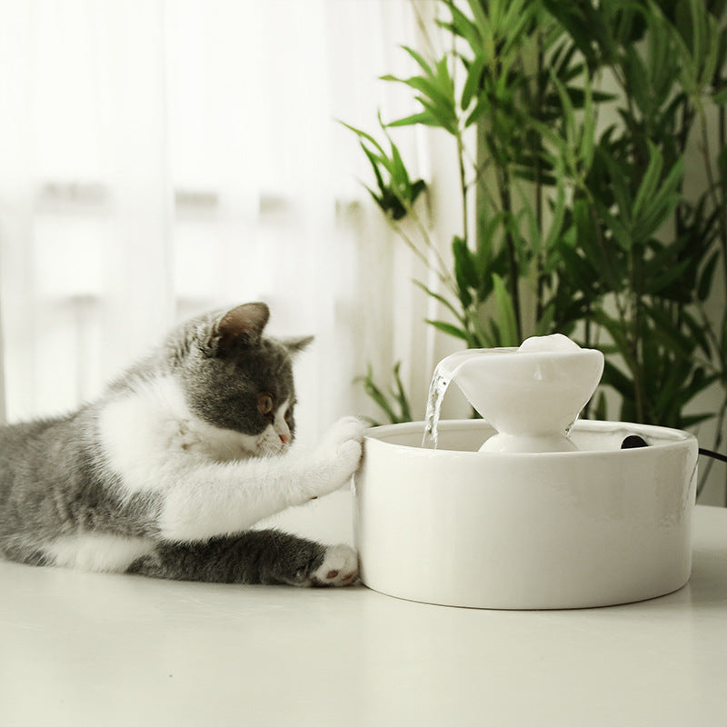 Fontaine de bol à boire à circulation intelligente en céramique pour chats