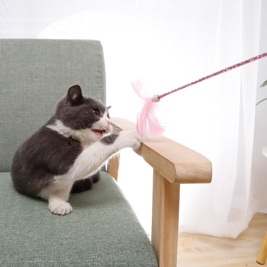 Juego de varita para gato de juguete, campana de plumas