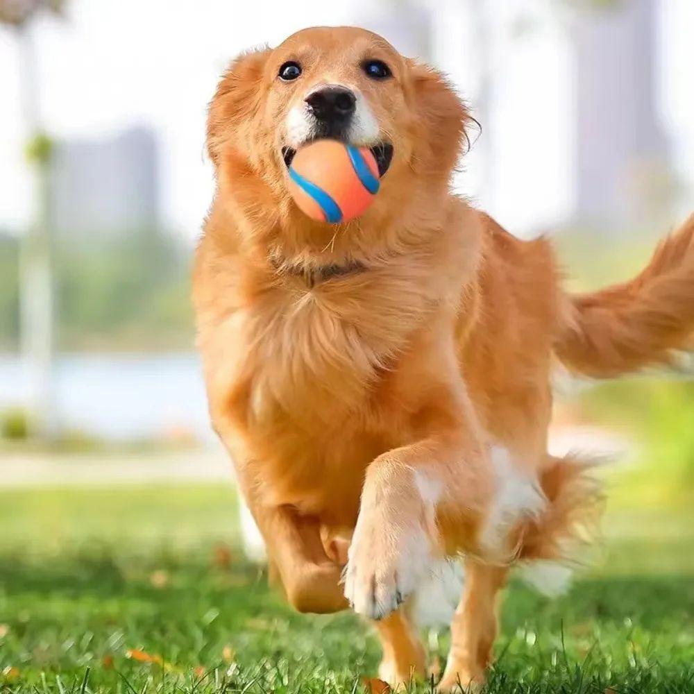 Dog Toy Ball Dog Fetch Ball Toy Tough Pet Ball Puppy Chew Toy Solid Elastic Jumping Ball Pet Accessories For Large Medium Small