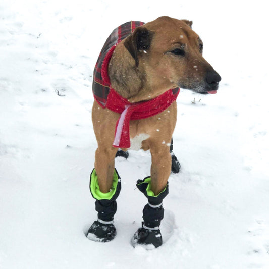 Chaussures pour animaux de compagnie pour chiens, bottes de pluie imperméables et résistantes à la neige