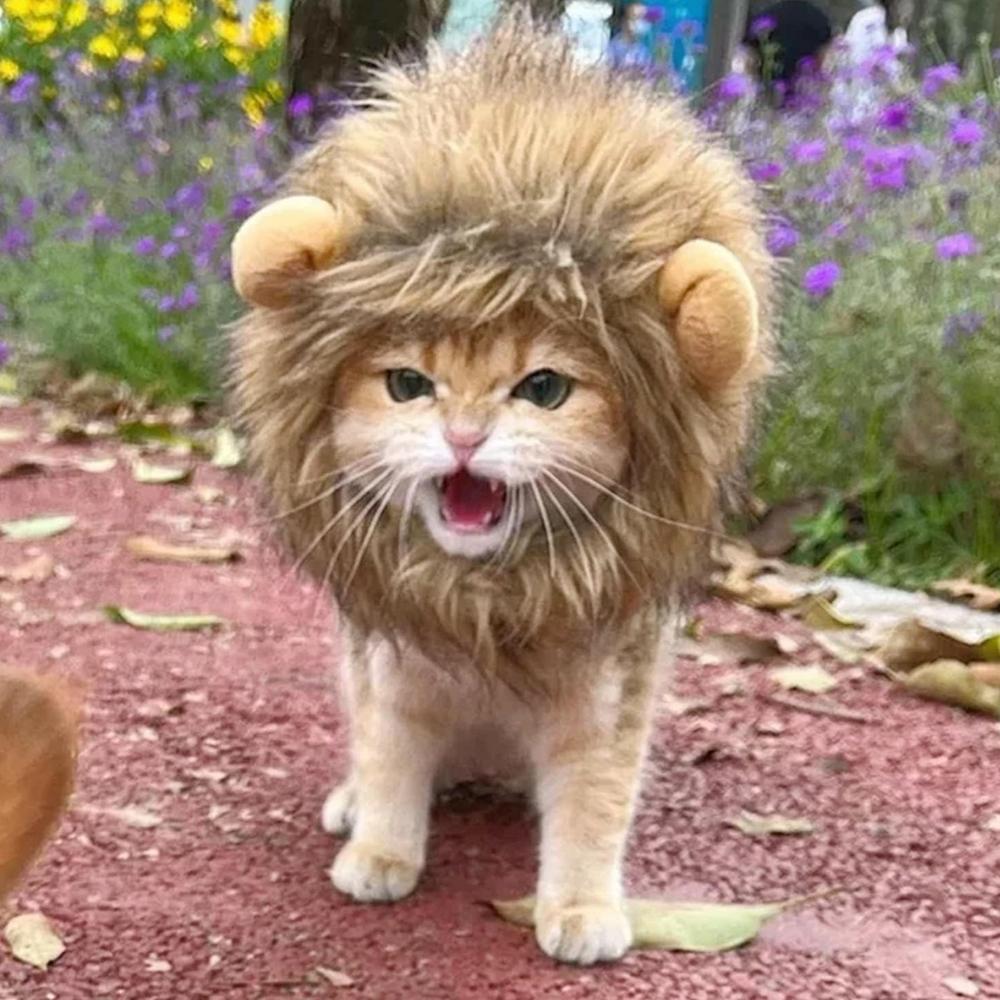 Accessoires de décoration pour animaux de compagnie, perruque de lion, bonnets de cheveux fantaisie, fournitures pour animaux de compagnie, couvre-chef de lion mignon, chapeau de chat, perruque de crinière pour chiens et chats, petit chien