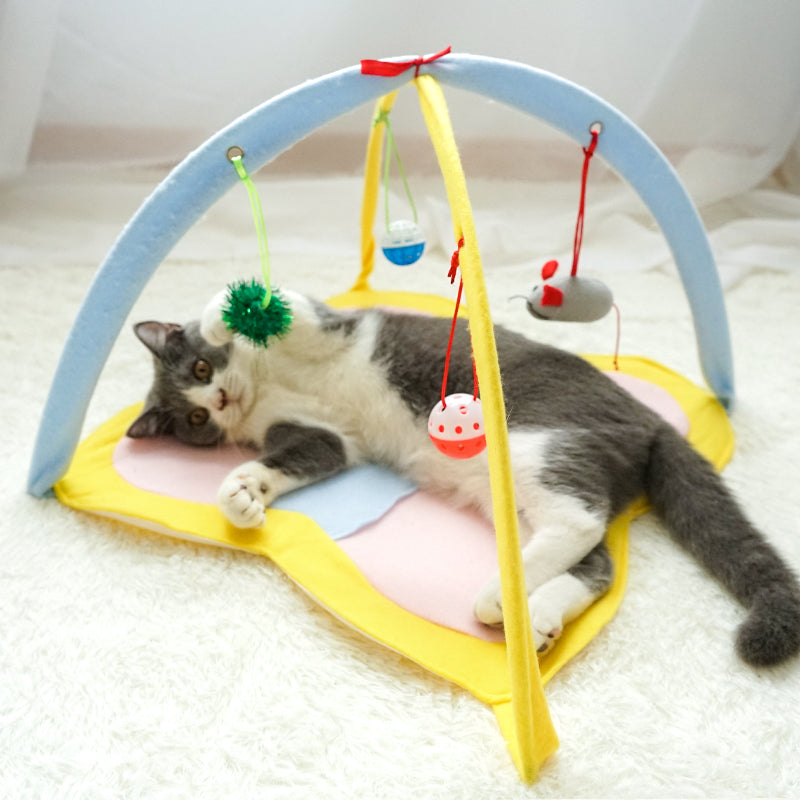 Jouet pour chat bâton de chat drôle ensemble de jouets pour chat drôle fournitures pour animaux de compagnie