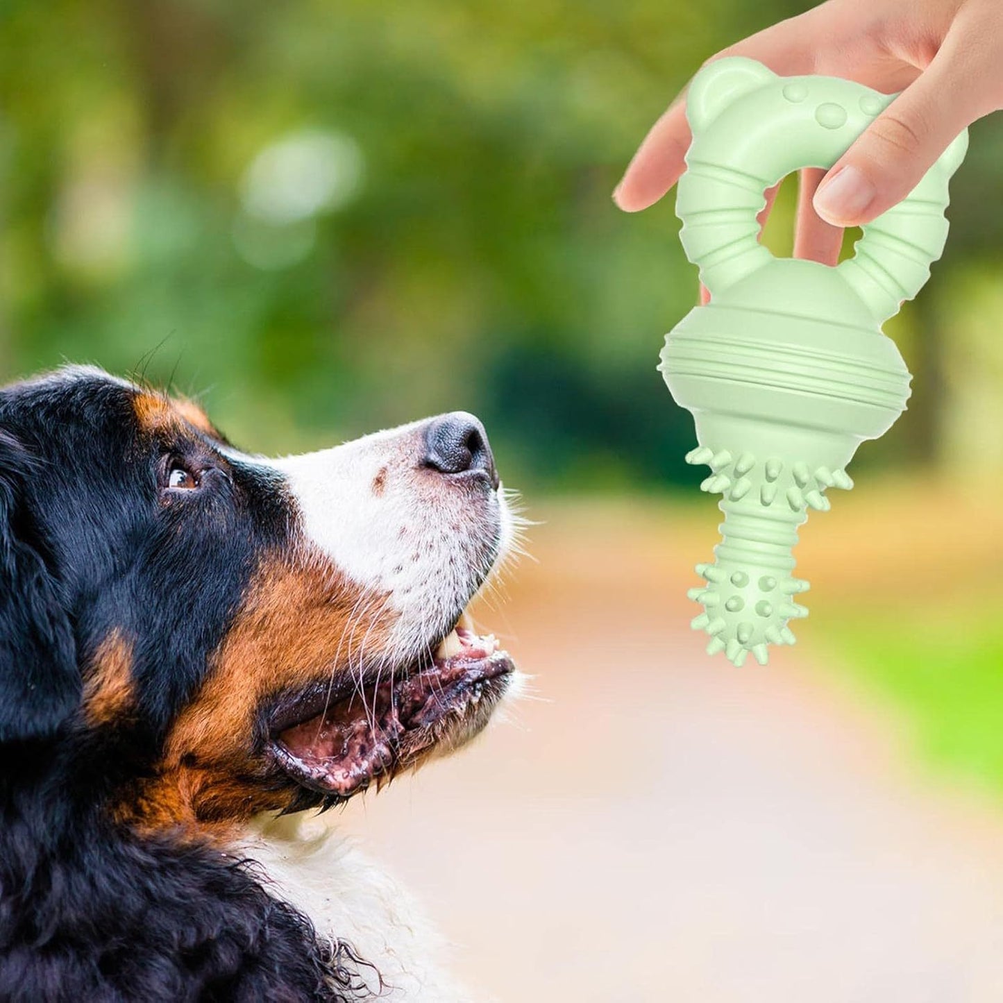 Molar Clean Teeth Rubber Toy Clean Teeth Rubber Pacifier Chew Toy Bell Chewing Playing Training Toys Dog Toys For Aggressive Chewers Large Breed, For Pet Puppy Dog Cat