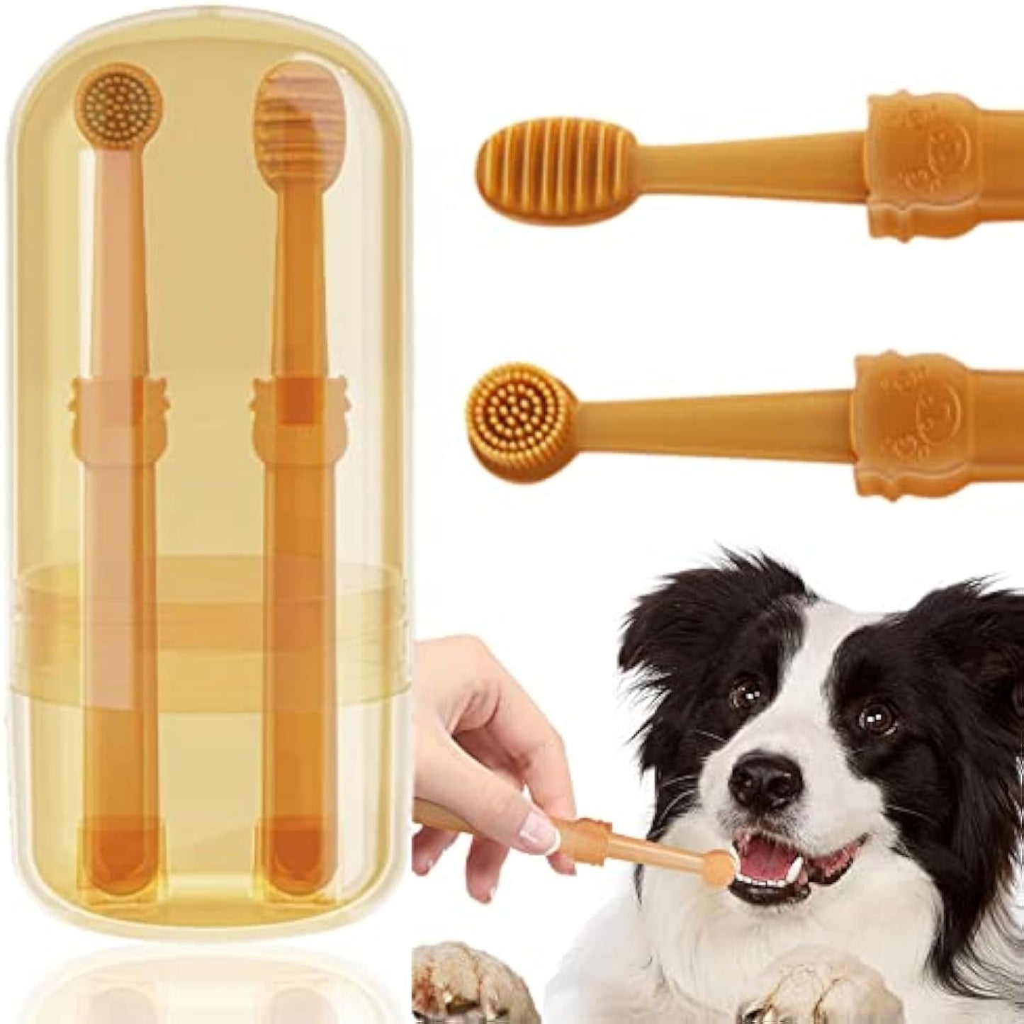 Brosse à dents pour chien à angle 360 ​​avec brosse de nettoyage de la langue, kit de brosse à dents en silicone pour chats et chiens avec tasse de rangement - Soins dentaires pour petits animaux 