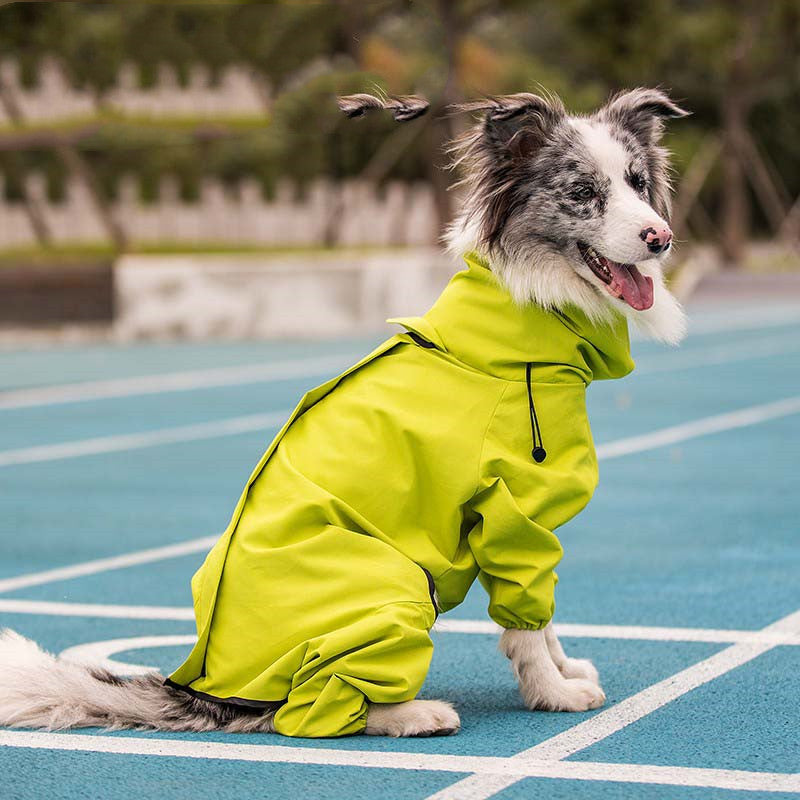 Manteau réfléchissant imperméable d'extérieur pour grands chiens et animaux de compagnie