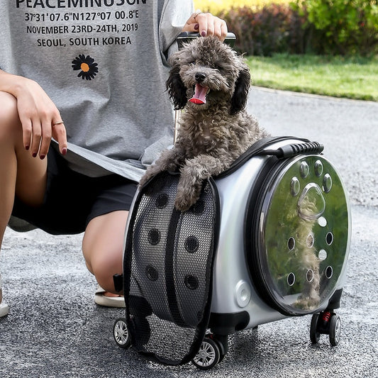 Bolso pequeño con carrito para mascotas, bolsa de pañales portátil para perros, hombros transparentes, bolsa para gatos, cápsula espacial