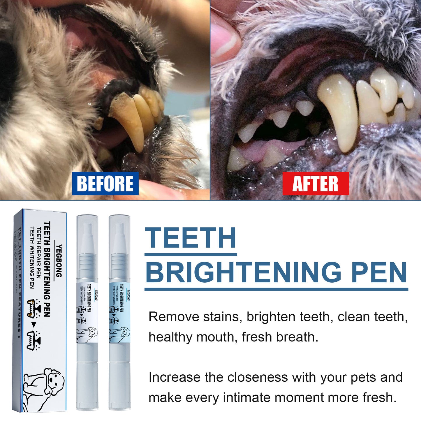 Stylo de blanchiment des dents Yegbong Pet pour chien et chat, antitartre