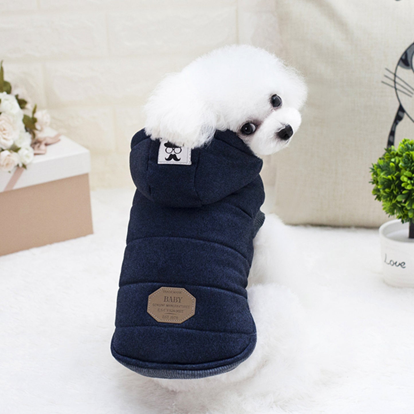 Ropa para mascotas Teddy Ropa acolchada de algodón de dos patas