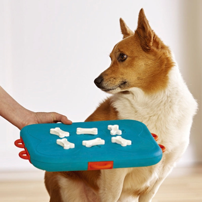 Dog food leaker educational toy