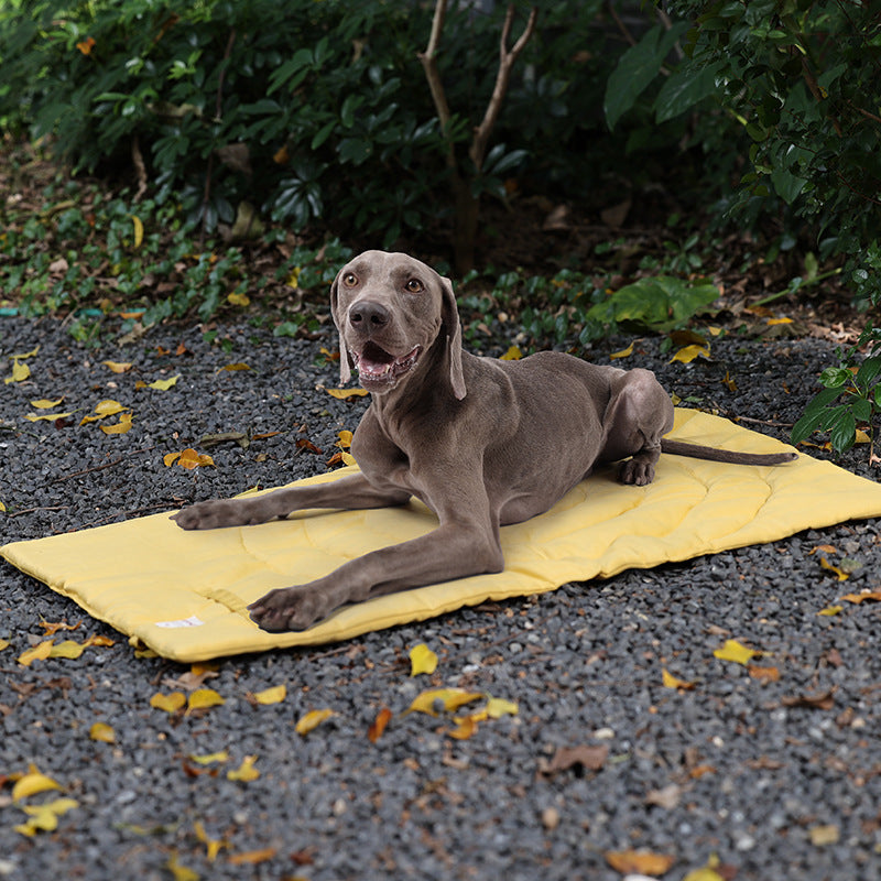 Colchón cálido para perrera, impermeable y plegable para mascotas