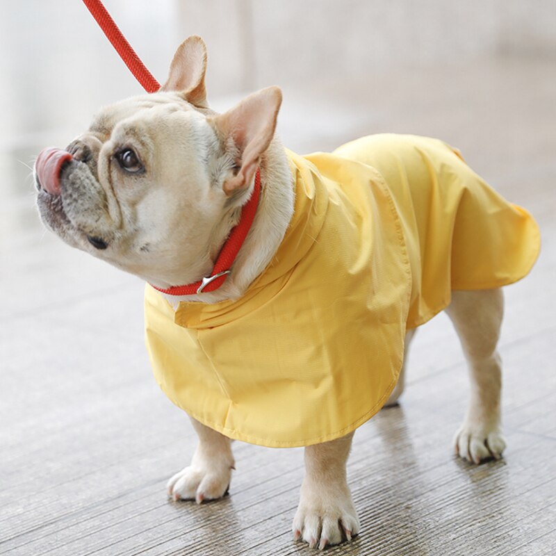 Imperméable pour animaux de compagnie