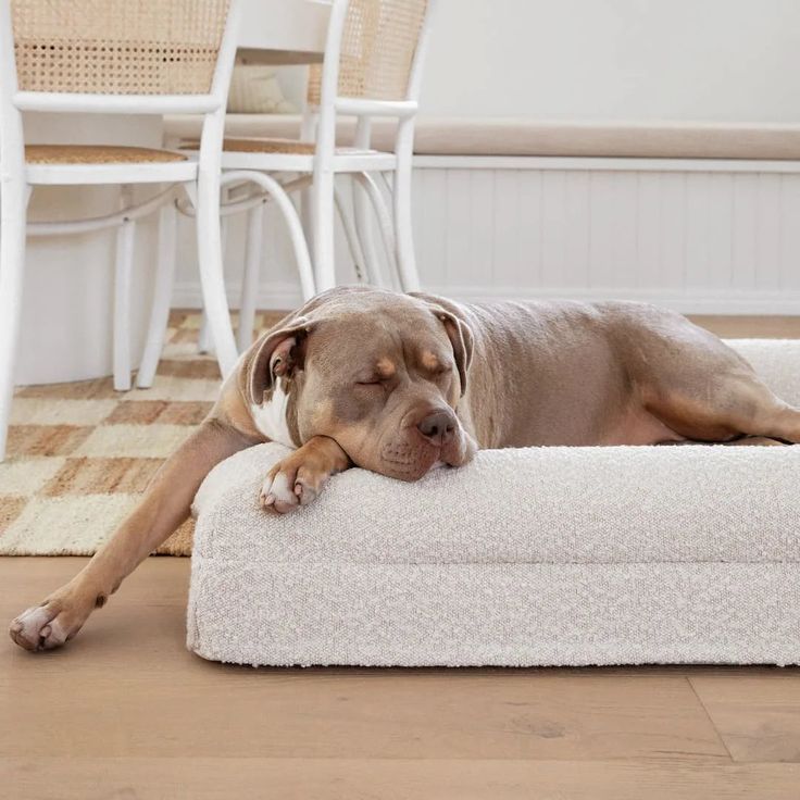 Sofá cama rectangular para mascotas con colchón grueso