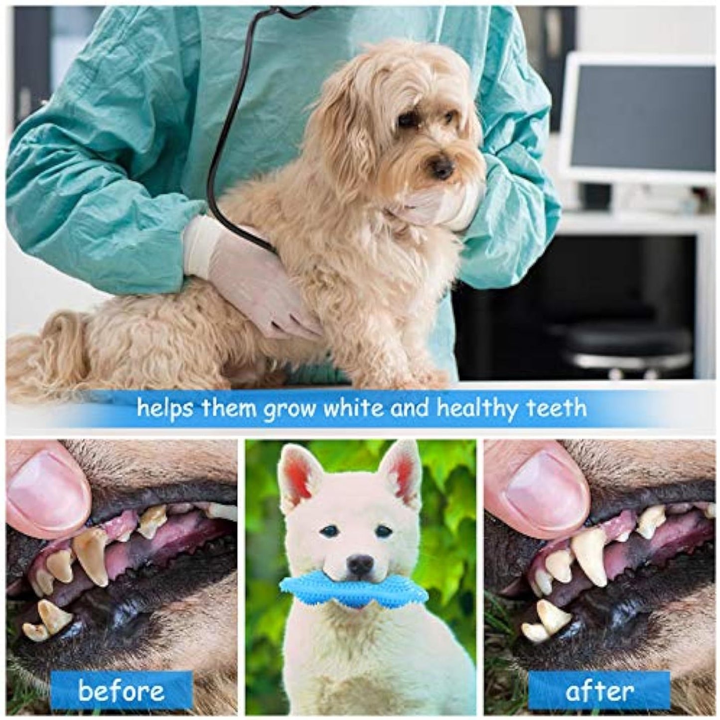 Juguetes para masticar para cachorros para la dentición Juguetes para la dentición de cachorros 360 Limpia los dientes de las mascotas Alivia el dolor de los dientes en crecimiento Juguetes para cachorros Perros pequeños Perros medianos Adecuado