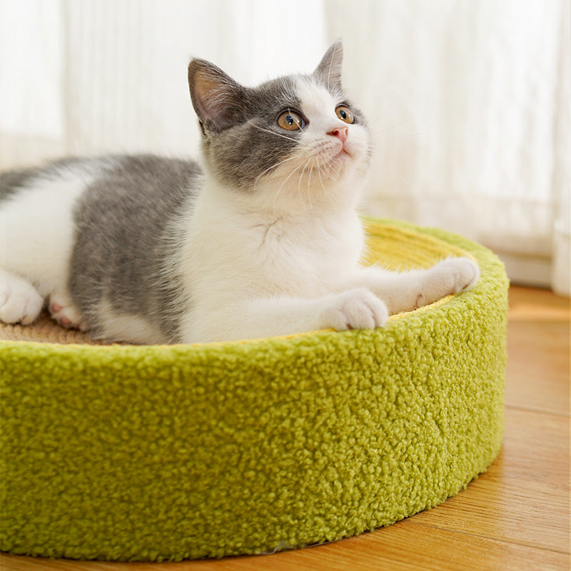 Cuenco rascador para gatos con aguacate, descanso para rascar, jugar en un lavabo, tres usos