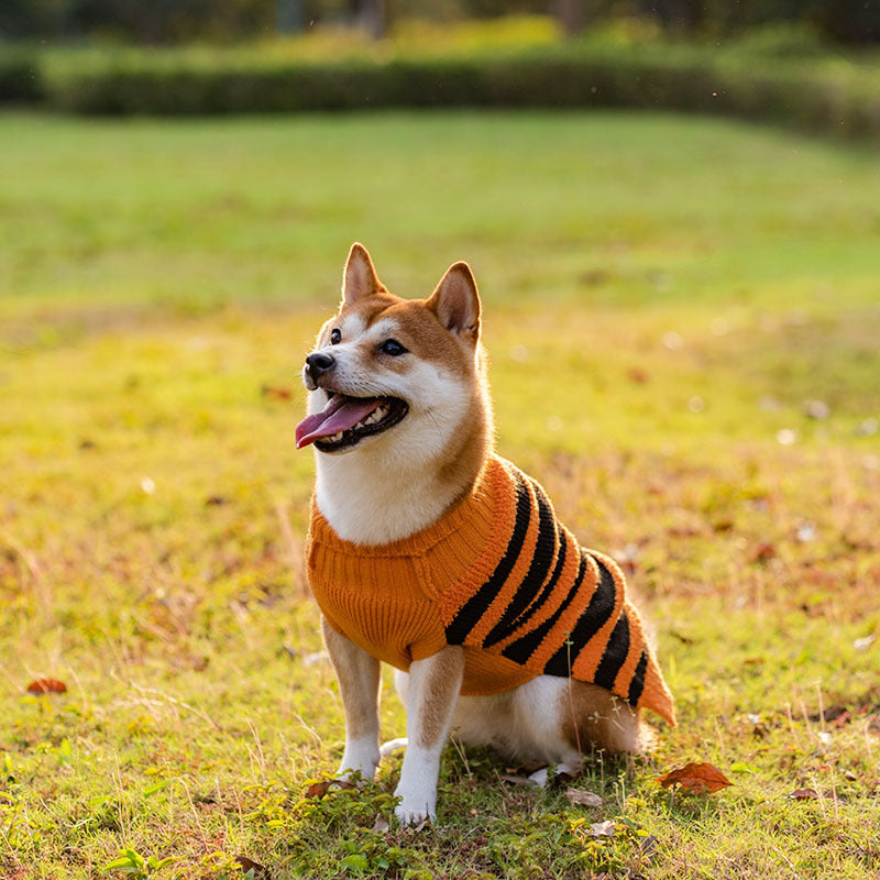 Suéteres para perros de Halloween, disfraz para mascotas, suéter cálido de ocio, ropa de Cosplay para perros, trajes para mascotas