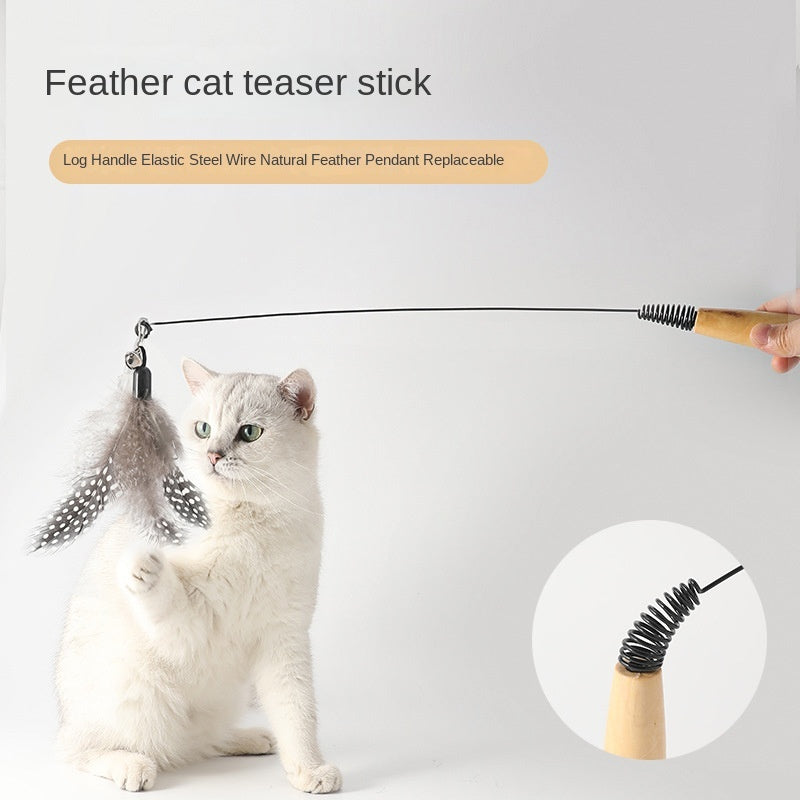 Bâton de taquinerie pour chat à ressort avec manche en bois et cloche à plumes, tête de rechange, jouet interactif pour chaton