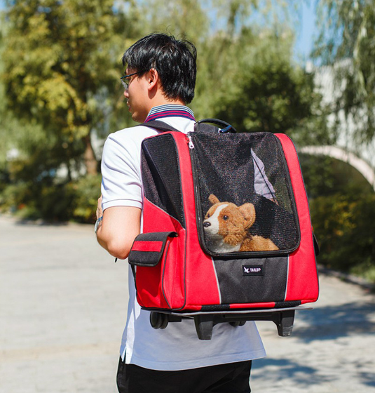 Petit porte-roues pour animaux de compagnie, sac à dos Portable pour poussette, pour chien et chat, respirant, pour chiot, bagages à roulettes, sac de Transport de voyage en voiture