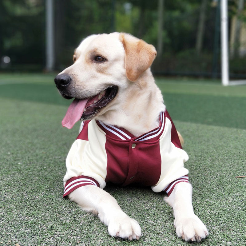 Baseball Uniform Pet Clothing Medium Large Dog Golden Retriever Labrado