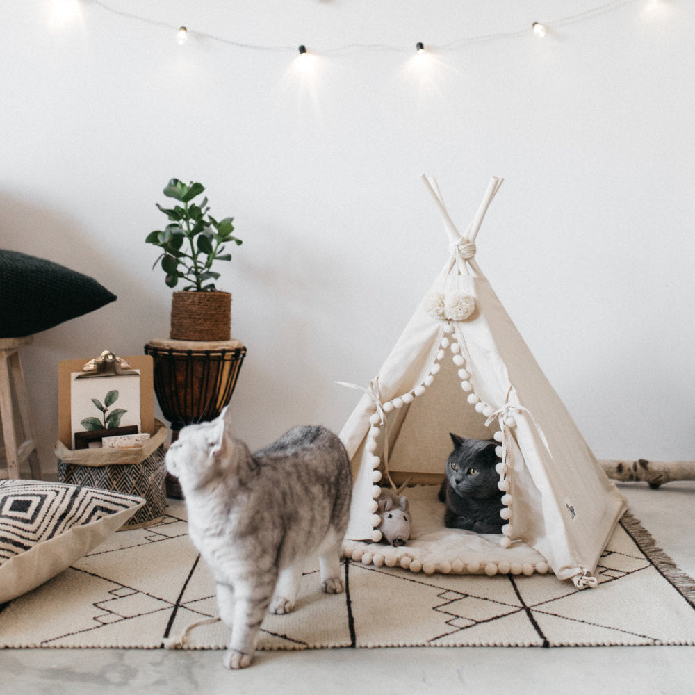 Lit de tente pour animaux de compagnie