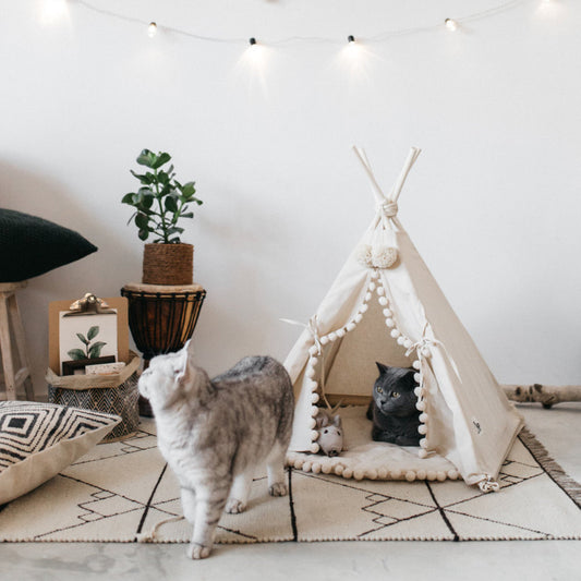 Cama de tienda para mascotas