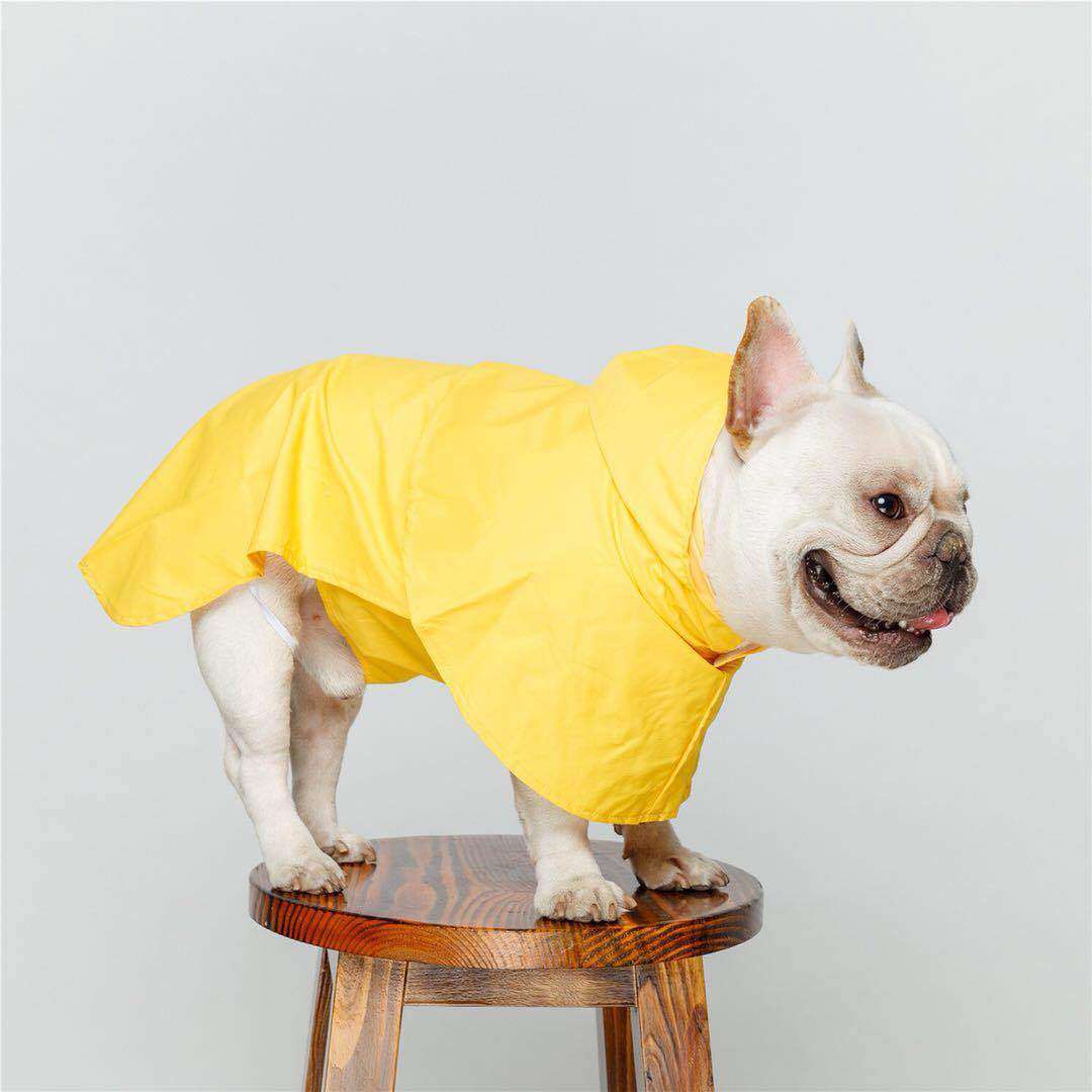 Waterproof pet raincoat