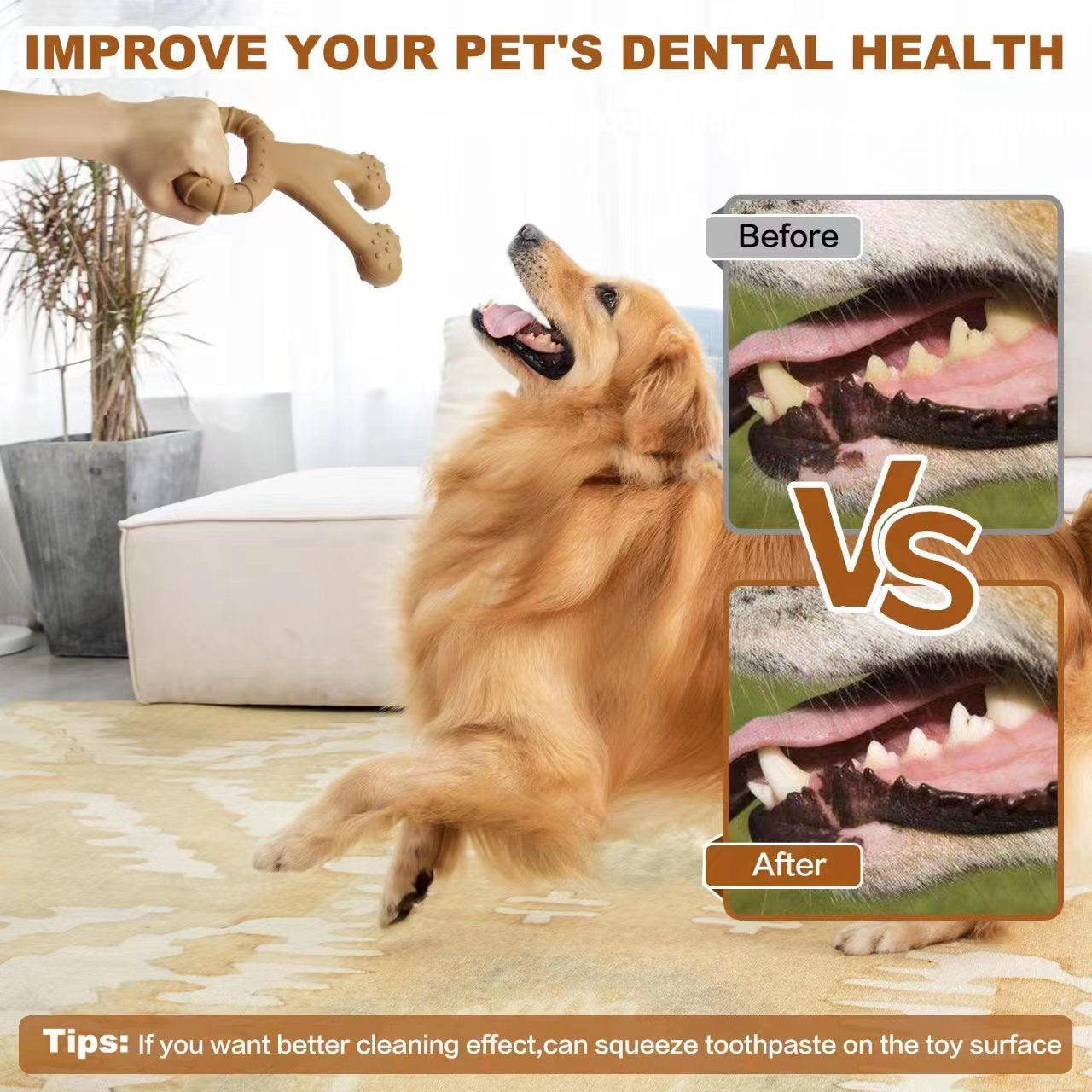 Dog Molar Pulling Toy Beef Flavor